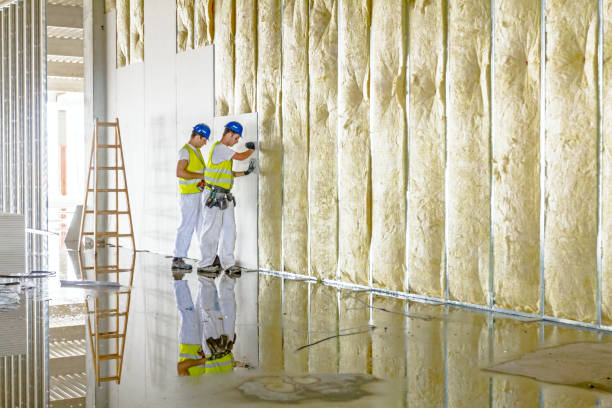 Professional Insulation Contractor in Atlanta, IL